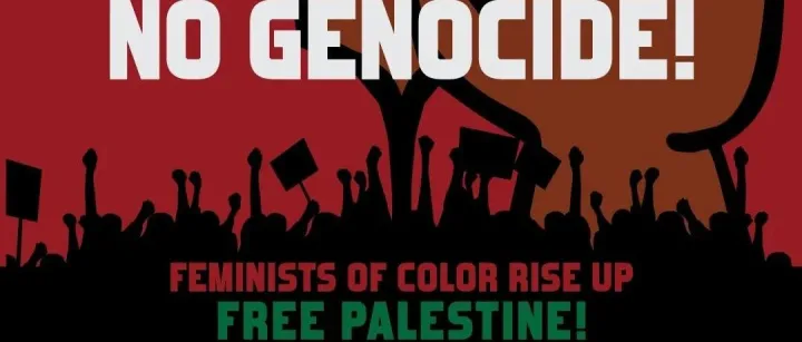 正义是不可分割的：巴勒斯坦作为一个女权主义问题