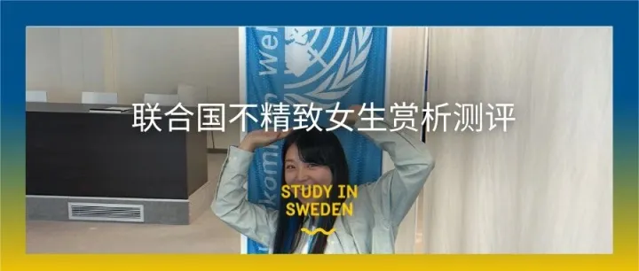 联合国（不）精致实习生赏析测评 | 我在瑞典之外度过的这个夏天
