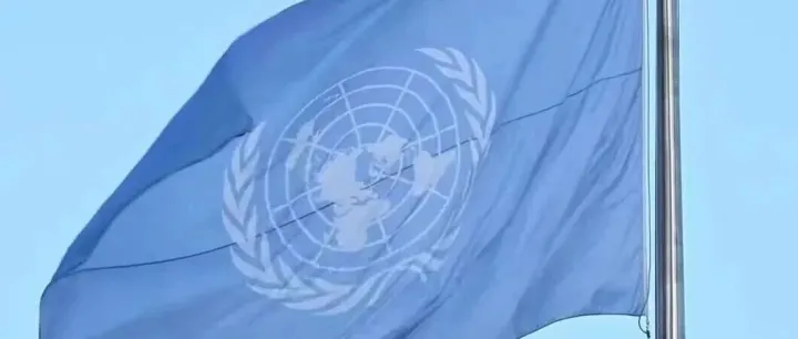 Ochenta años de la ONU: Construyendo juntos nuestro futuro