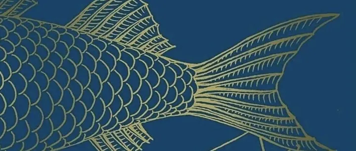 《为什么鱼不存在》：<em>order</em> and Chaos