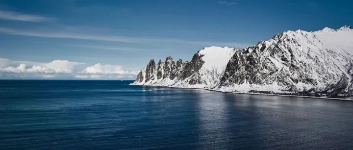 挪威海产出口商目录查询