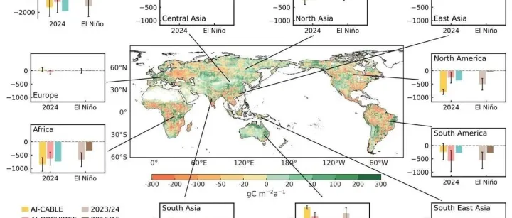 最新发表 | AI揭示2024年全球陆地生态系统碳汇减半