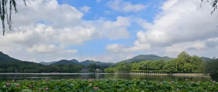 The Art of Stopping Losses in Stock <em>Trading</em>