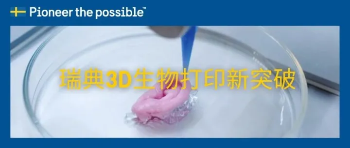 鼠鼠我啊，终于不被用做实验了| 瑞典3D生物打印新突破