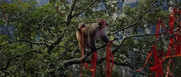 Thin-<em>volume</em> rally: breakout tomorrow?