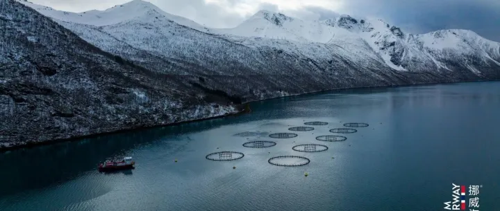 Norway Released Q1–Q3 2025 Seafood Export Data