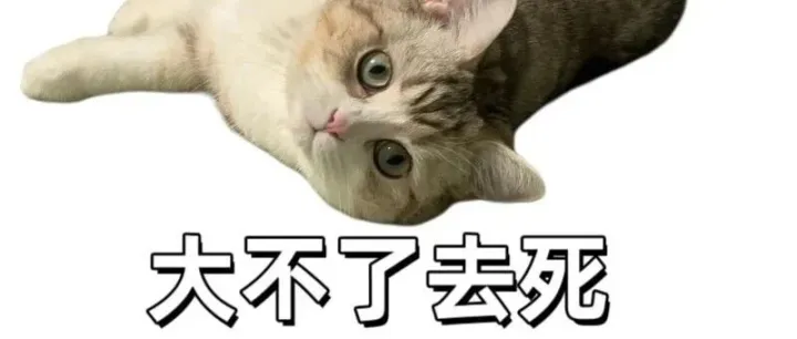 别让审核“劝退”搞钱路！亚马逊自救+避坑，看这篇就够了！