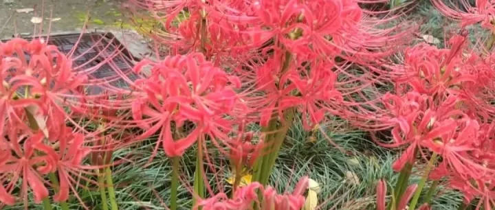 混合<em>系统</em><em>怎么</em><em>审核</em>