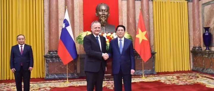 马博洋大使在越南递交国书