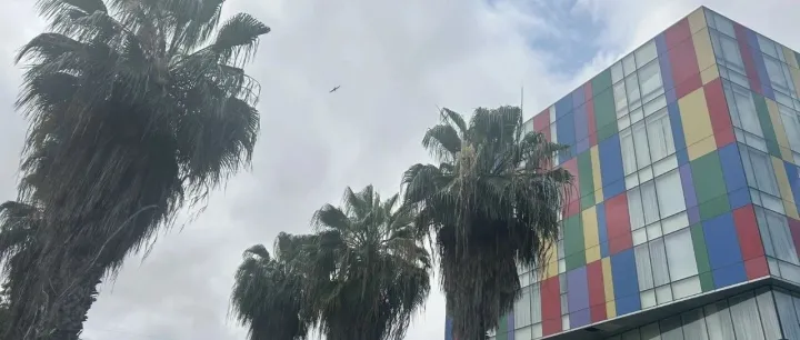 安哥拉53.4亿美元流到了国外？