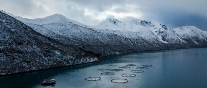 挪威海产2025年前三季度出口数据公布，对华出口额飙升42%