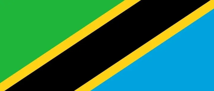 出口企业注意！坦桑尼亚清关新政：COC证书电子化与商标强制备案详解