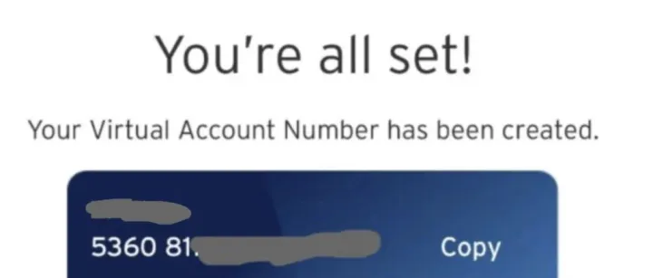 536081 新的master 万事达预付卡，花旗银行个人银行账户citi bank virtual master card