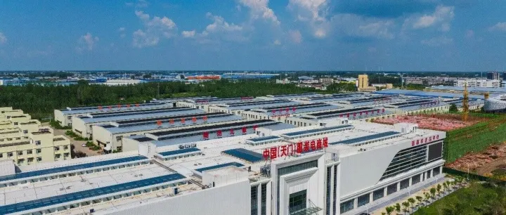 拼多多助力“服二代”返乡创业