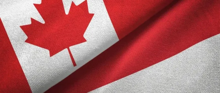 加拿大移民官方风向：2026-2028年计划前瞻：放缓、维持还是扩大？