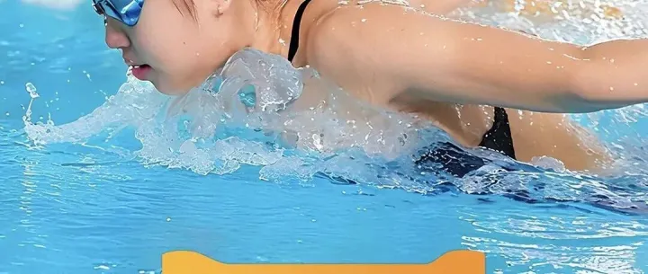 驭浪前行：惠灵顿水狮队的成长足迹