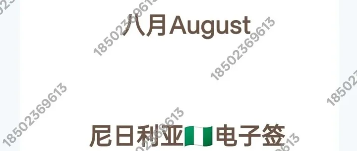 8月尼日利亚电子签来了