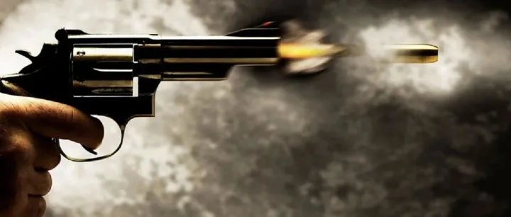 【津巴新闻】津巴布韦矿场命案：中国公民射杀当地男子被捕