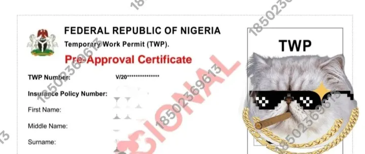 尼日利亚<em>R10</em>