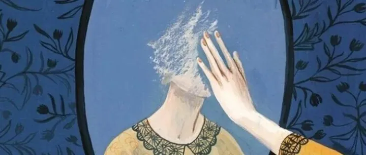 旱地拔<em>葱</em>式评论很容易沦为给权力洗地