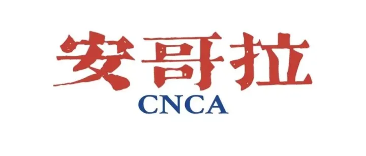 安哥拉CNCA FAQ 34  安哥拉CNCA   船代与货代