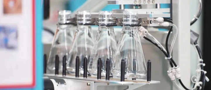 快速塑料项目背后的隐患 Catch Hidden <em>Risks</em> in Fast Plastics Projects