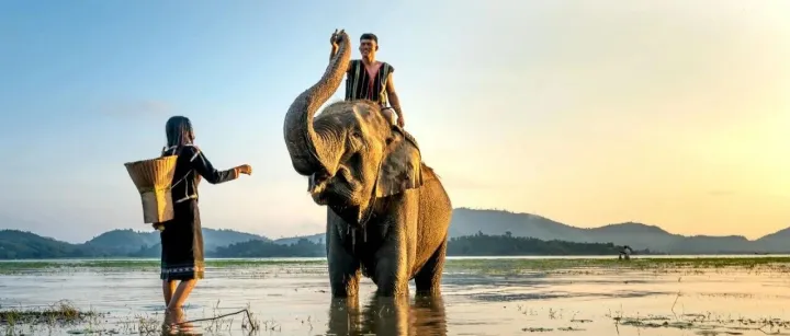 新大陆的规则：开拓东南亚、中东、拉美市场，必须跨越的三大“隐性壁垒”