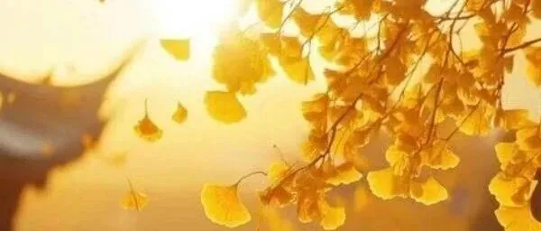 【东郡文学】诗词选刊2025年第19期(<em>总</em><em>95</em>期）