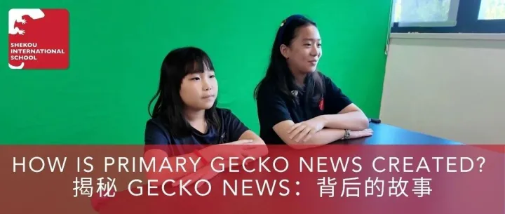 How is Primary Gecko News <em>Created</em>?｜揭秘 Gecko News：背后的故事