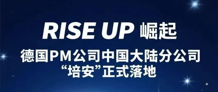 DeepSeek全方位锐评<em>德国</em><em>PM</em>