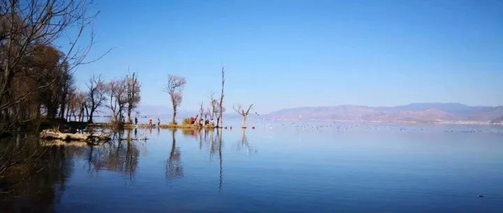 TA956 (Draft Opinion)-<em>internal</em> compliance risks 可以作为拒付的理由吗 ？