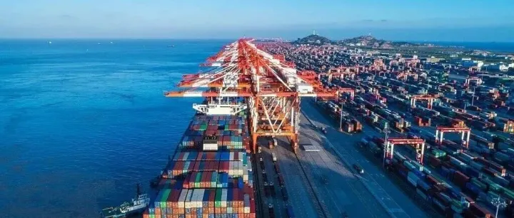 海事法院案例库 | 集装箱拼箱运输货物混装造成退运承担赔偿责任案例分享