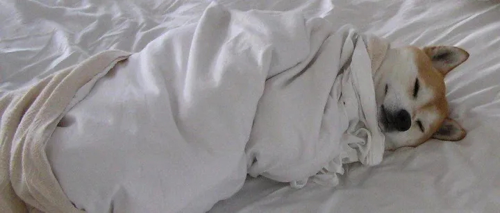 伊<em>尔</em><em>库</em>茨克供暖时间再度延迟！最新启动日期敲定。伊<em>尔</em><em>库</em>茨克居民请注意！