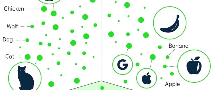 什么是 <em>Embedding</em>？万物即可<em>Embedding</em>