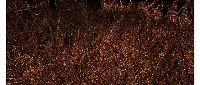 1226、用Deepseek编写一个检测<em>图片编辑</em>痕迹的网页版工具