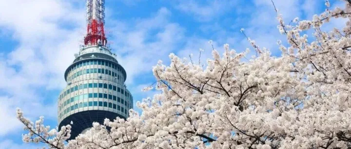 第46周（11.10-11.16）上海-韩国运价