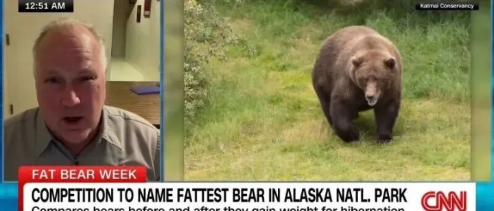 Fat Bear Week 2025 crowns a <em>winner</em>