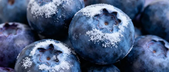 海鸿周讯 | 速冻食品大王押宝新赛道；西贝翻车日损百万，老乡鸡赢麻了；秘鲁蓝莓行情过山车式波动