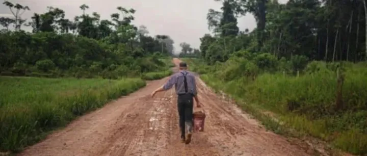 时光旅行：马车，信件和<em>报纸</em>，探访美洲丛林中的门诺<em>派</em>