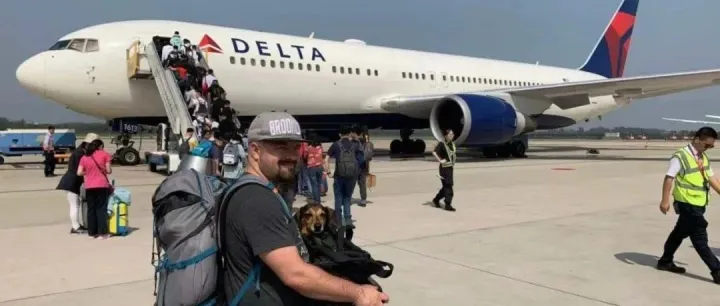 Latest 2025 <em>Regulations</em>: Departing from China with Pets-Oct 25th