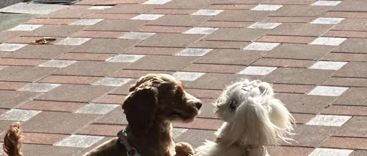 capital远远不只是 ‘首都’- 中考高频难词