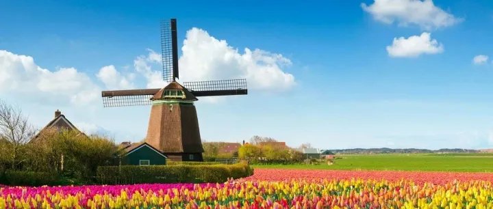 宁可小心一点，也别后悔——“<em>Better</em> safe <em>than</em> sorry.” 的妙用