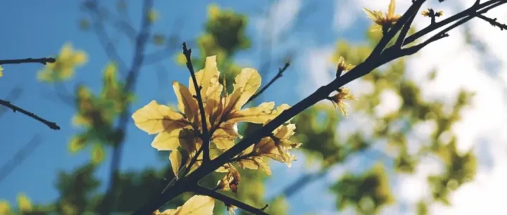 亚马逊上线 <em>Virtual</em> Multipack (VMP) 试点！卖家必看深度解析