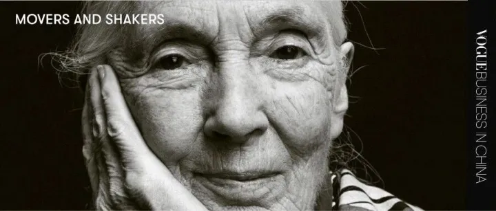 What sustainable fashion <em>can</em> learn <em>from</em> Dr Jane Goodall