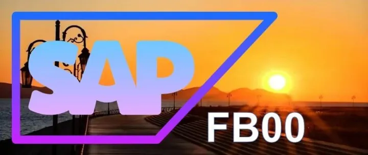 SAP Transaction Code: FB00 - “Accounting Editing <em>Options</em>”