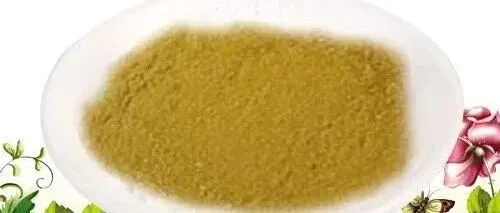 Amino <em>Acid</em> 40