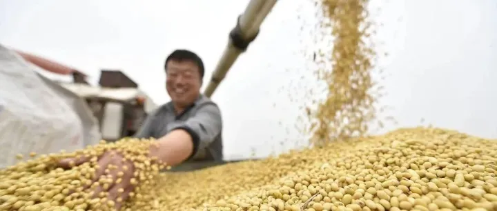 巴西哄抬大豆<em>价格</em>，中国教他<em>怎么做</em>人