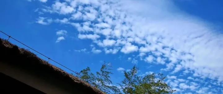 <em>Digital</em> market 13