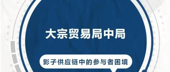 大宗贸易局中局：影子供应链中的参与者困境