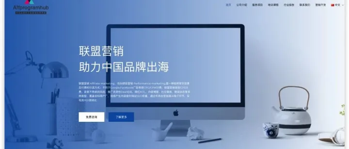 隆重介绍： APH VIP Program，出海品牌有联盟营销需求看过来！